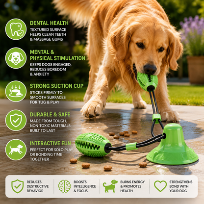 Suction Ball Interactive Dog Toy