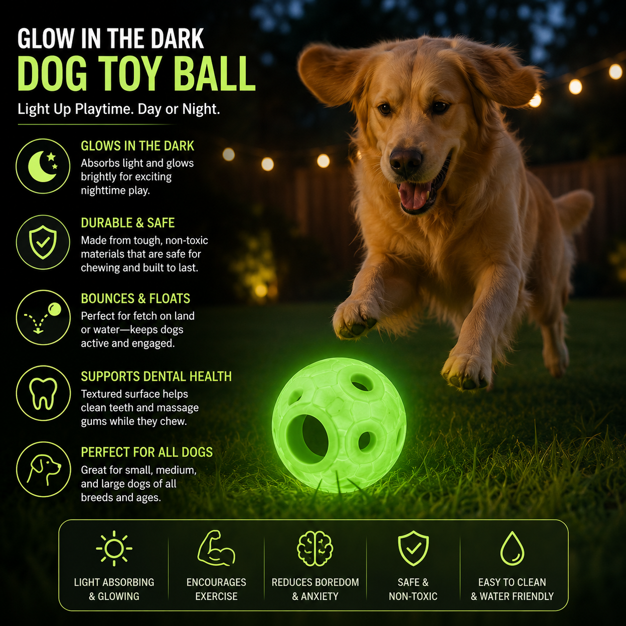 Glow-in-the-Dark Dog Toy Ball
